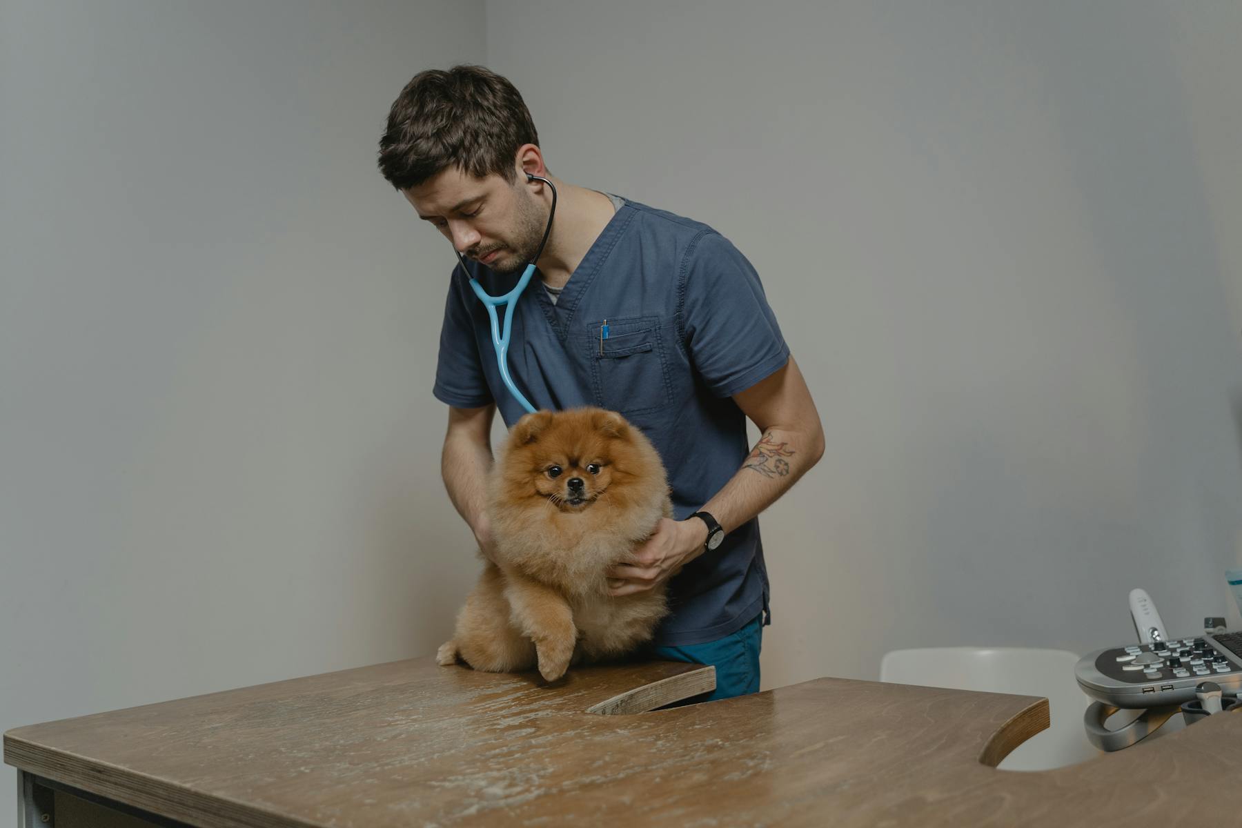 Vets