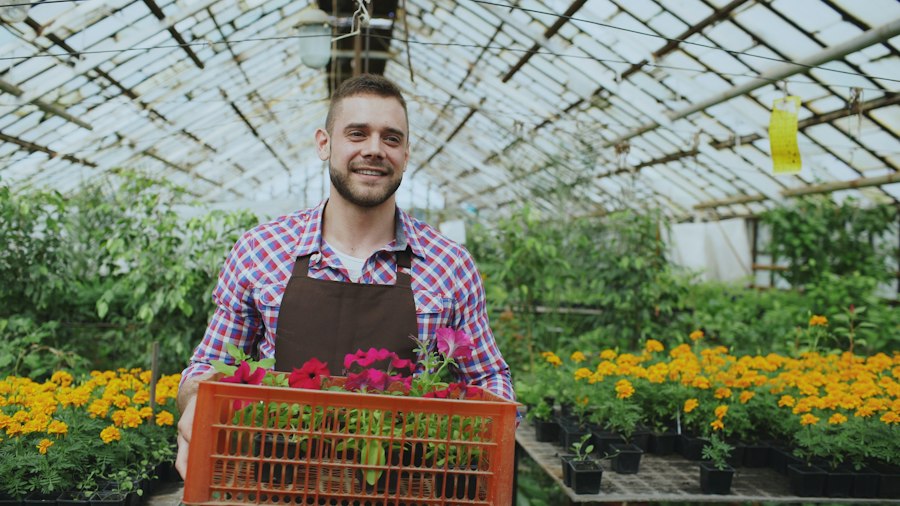 Grower carrying a crate of plants in a greenhouse